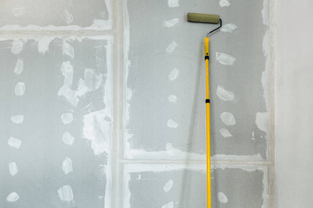 Best Mold Damage Restoration  in Westmont, IL