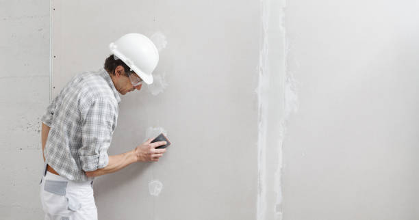 Professional Mold Removal in Westmont, IL