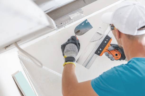  Westmont, IL Mold Removal Pros